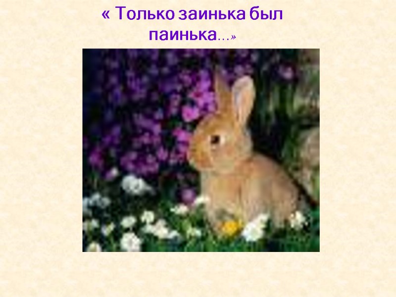 « Только заинька был паинька…»